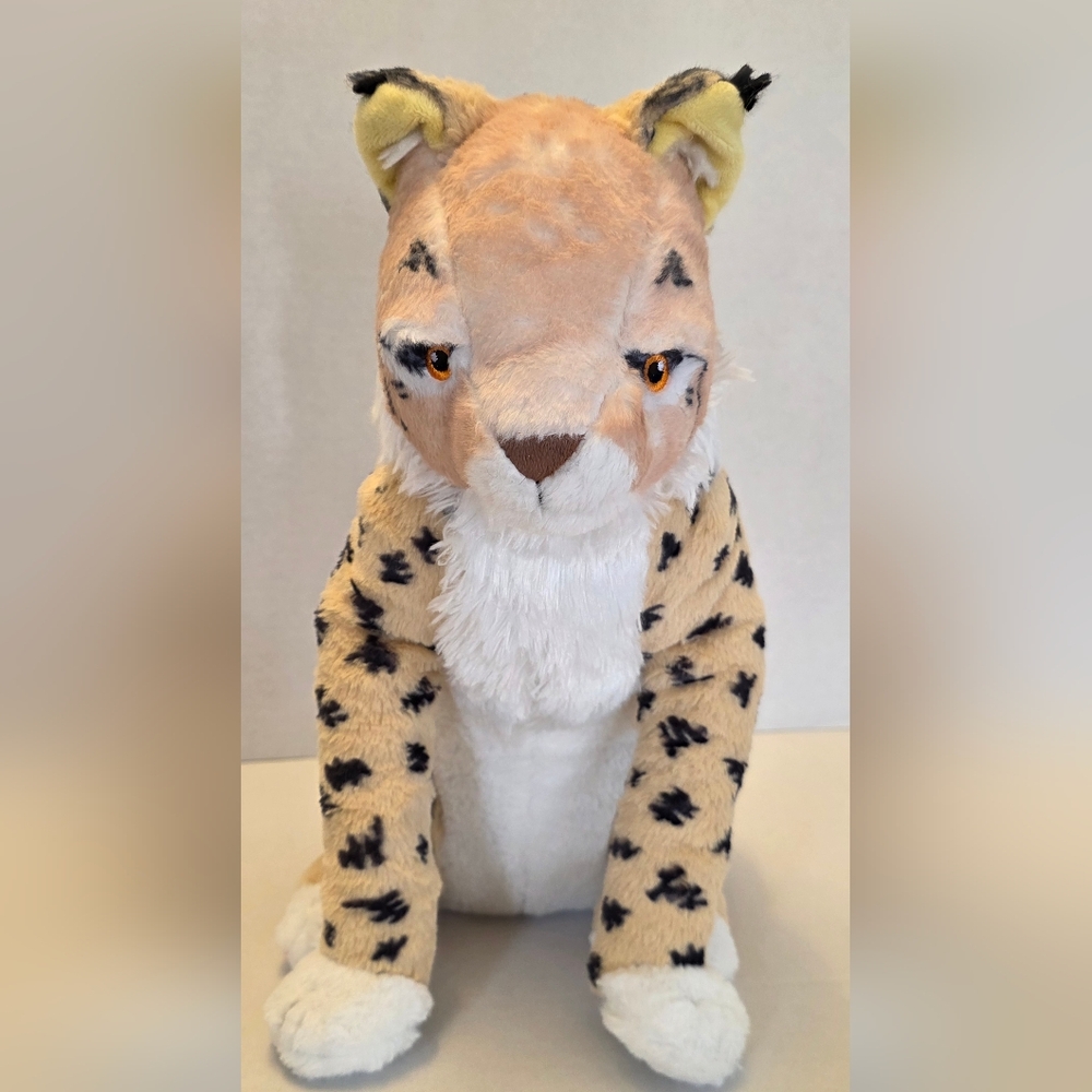 Paz The Lynx  Jane Goodall Institute
